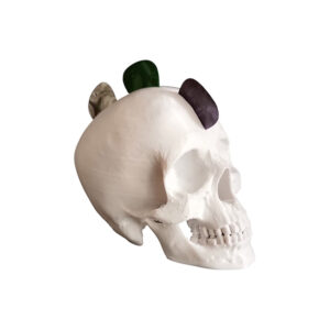 Skull βάση για πένες